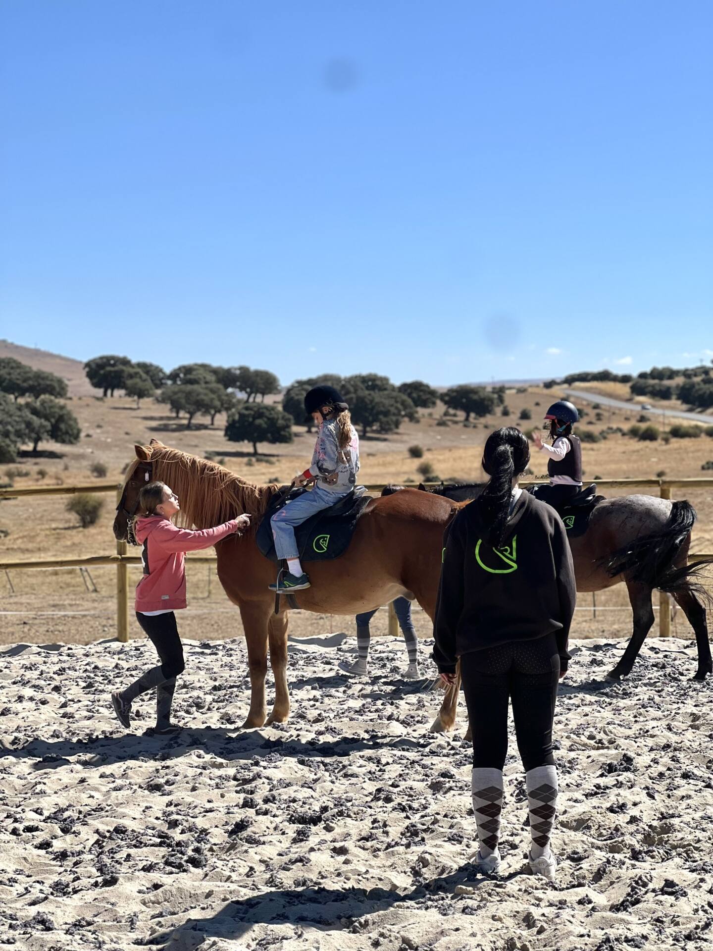 Clases de iniciación de hípica en ávila